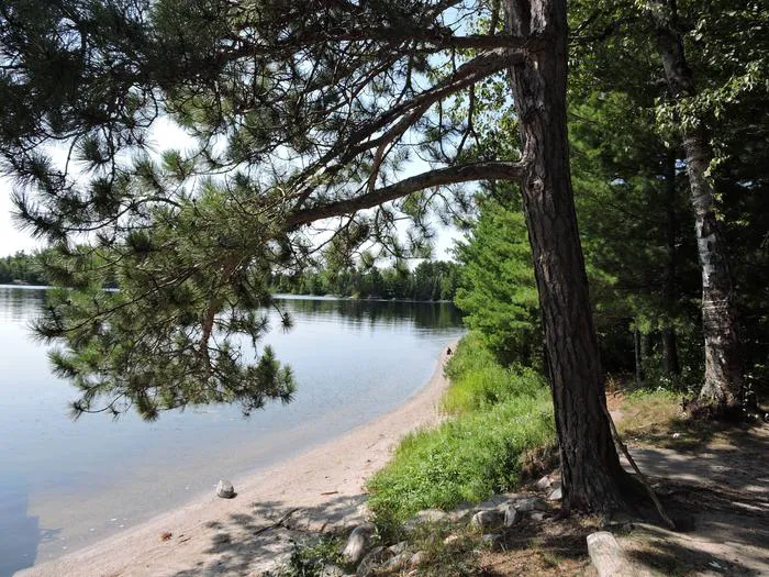 Wolf Pack Central N47 Campsite Picture 3