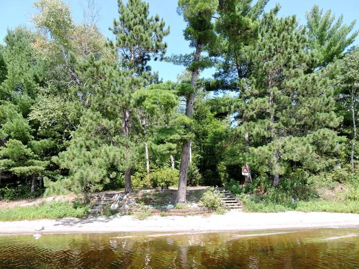 Wolf Pack Central N47 Campsite Picture 2