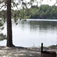 Wolf Pack Central N47 Campsite ico