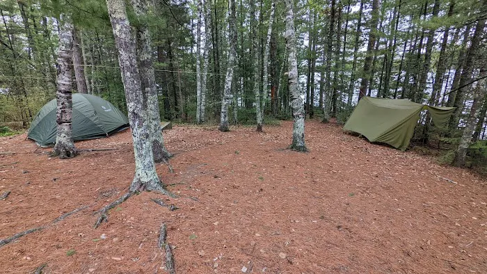 Wolf Pack West N46 Campsite Picture 4