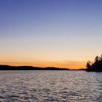 Junction Bay N14 Campsite