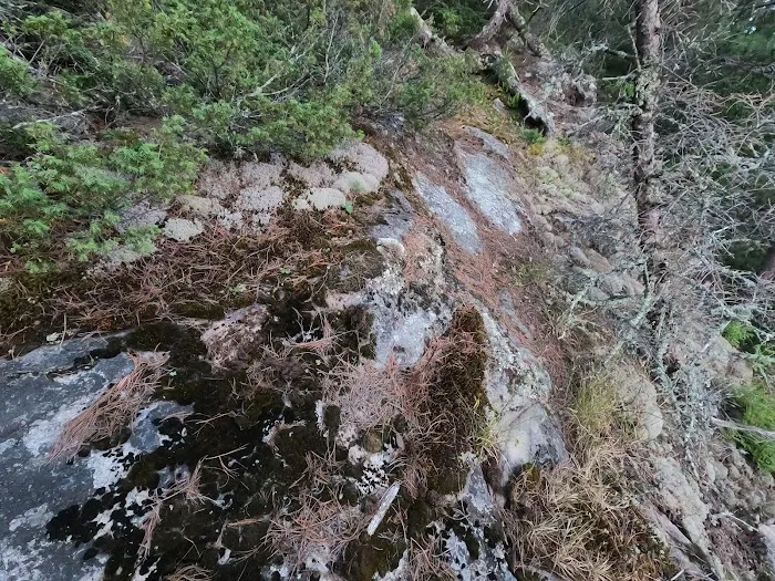 McManus Island N17 Picture 8