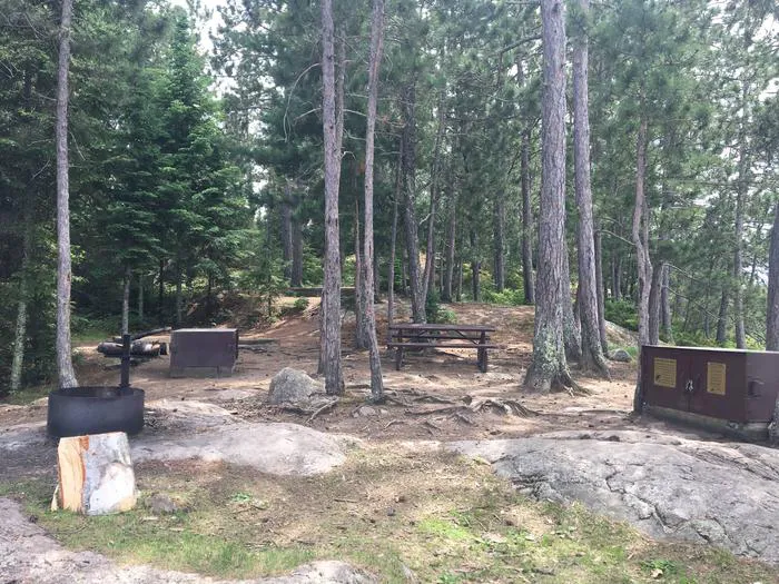 Williams Island North N61 Campsite Picture 5