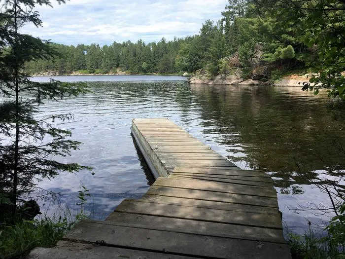 Williams Island North N61 Campsite Picture 2