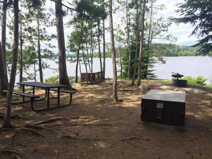 Williams Island North N61 Campsite Picture 3