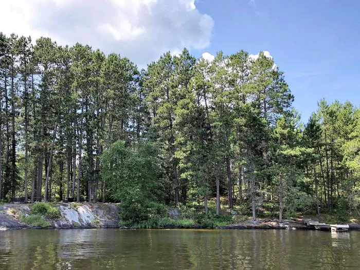 Hoist Bay N12 Campsite Picture 3