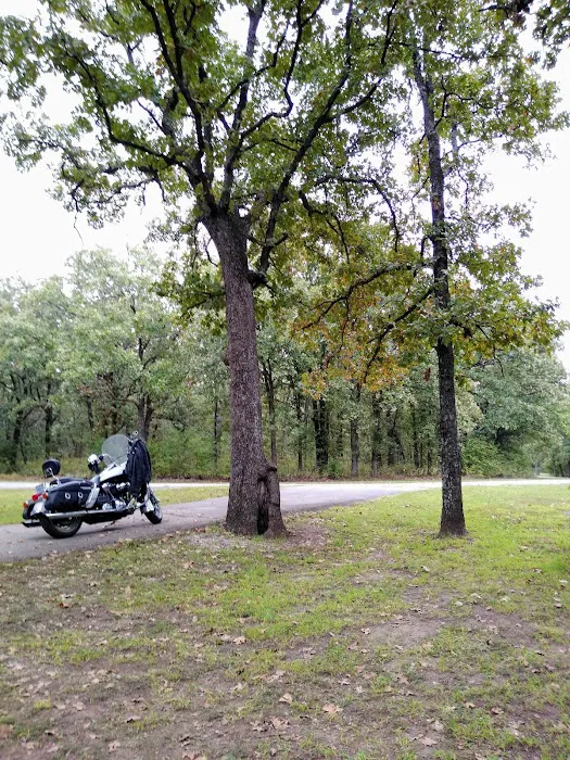 Twin Coves Campground Picture 3