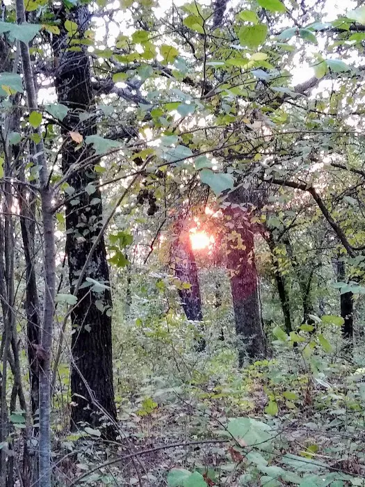 Twin Coves Campground Picture 6