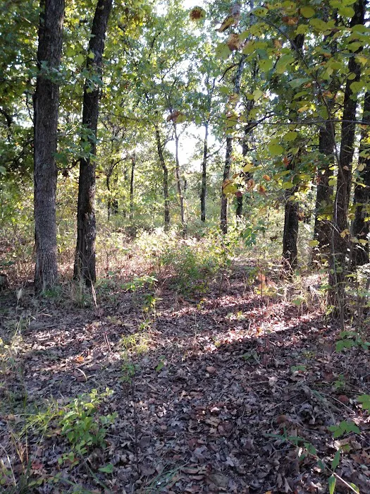 Twin Coves Campground Picture 10