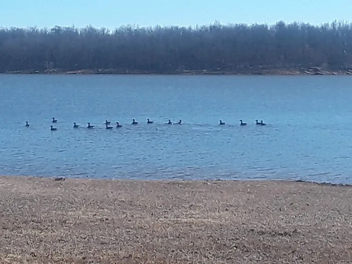 Bull Creek Peninsula Recreation Area Picture 7