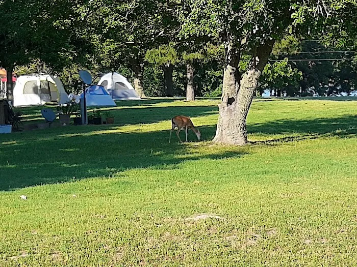 Walnut Creek Park COE Picture 3