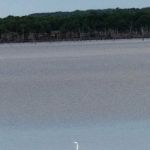 Washington Cove Park Campground