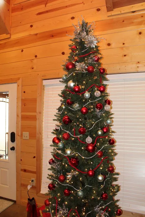 Urban Hideaway Cabin Picture 9