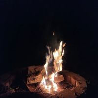 Blossom Belle Lodge ico