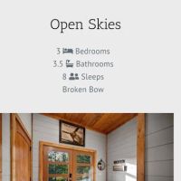 Open Skies ico