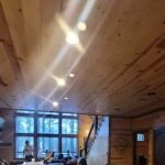 Neon Moon Luxury Cabin