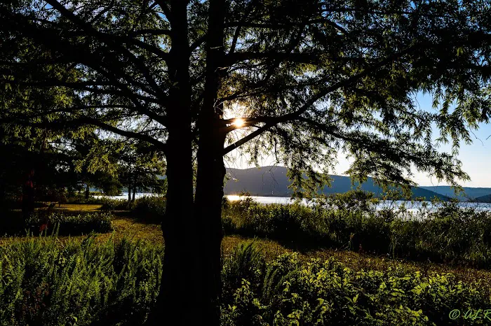 SARDIS COVE Picture 3