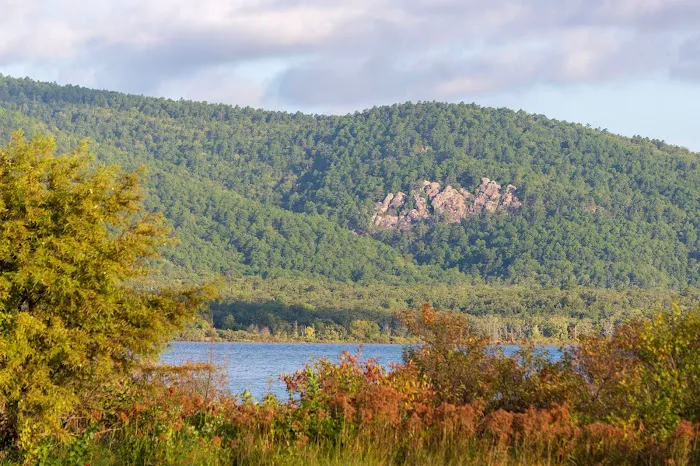 SARDIS COVE Picture 5