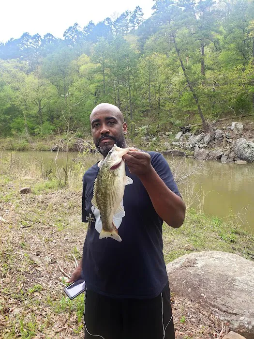 Creekside Cabin Picture 6