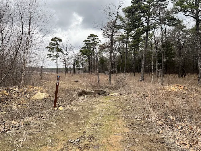 Lake Wayne Wallace Campground Picture 1