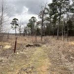 Lake Wayne Wallace Campground