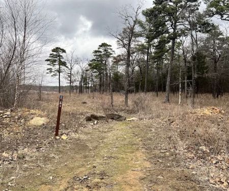 Lake Wayne Wallace Campground