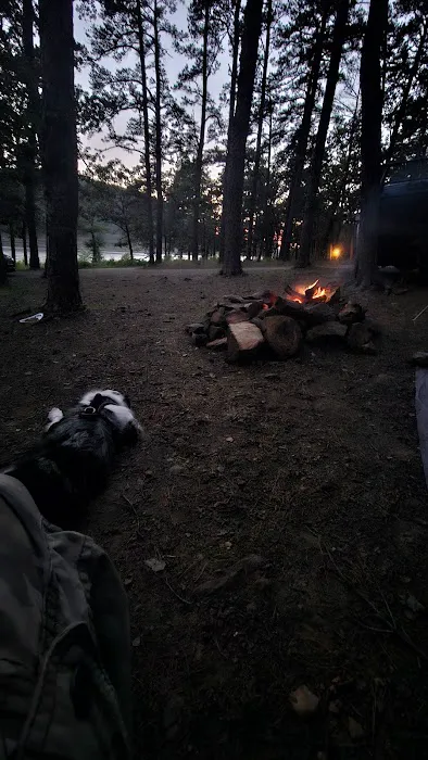 Lake Wayne Wallace Campground Picture 5