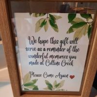Collins Creek ico