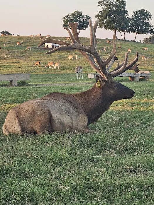 Cabañas Oklahoma Picture 2