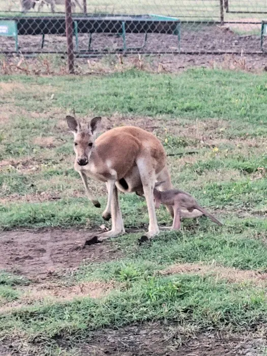 Cabañas Oklahoma Picture 4