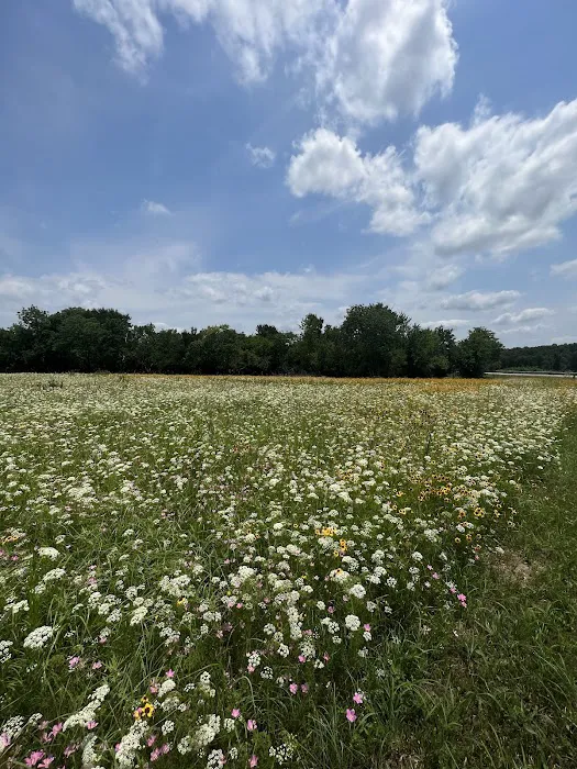 Hugo Lake Campground Picture 9