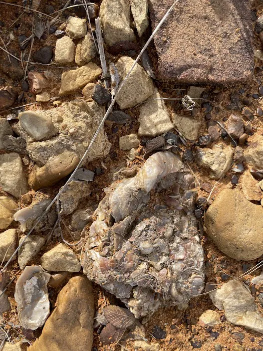 Hugo Lake Campground Picture 8