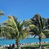 Trumbo Point Tropical Landing ico