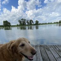 Lake Felix Rv Park ico