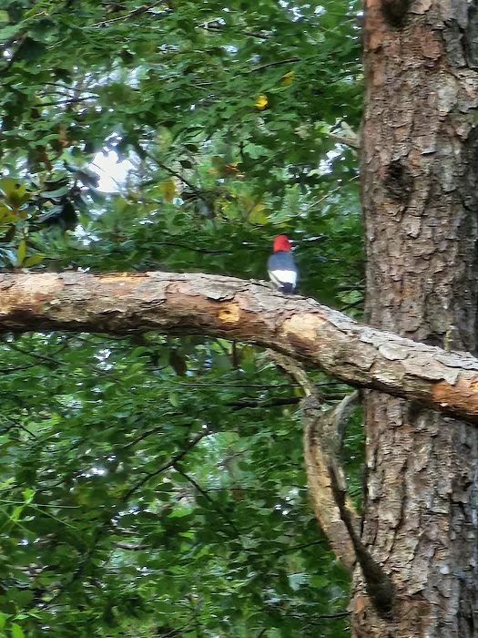 Crooked Creek Recreation Area Picture 3