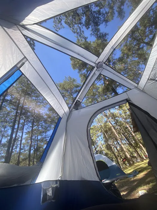 Crooked Creek Recreation Area Picture 10