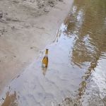 Clear Creek Campground