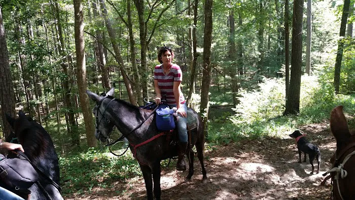 Stuart Lake Campground Picture 1