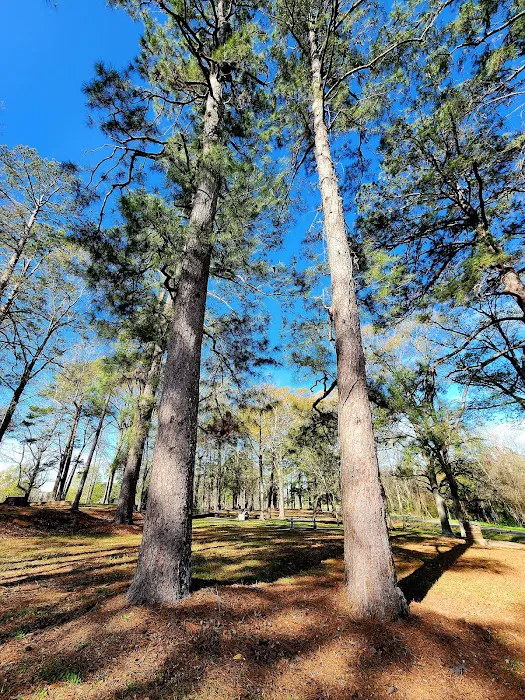 Brad's Old Ferry Landing Campground & RV Park Picture 2