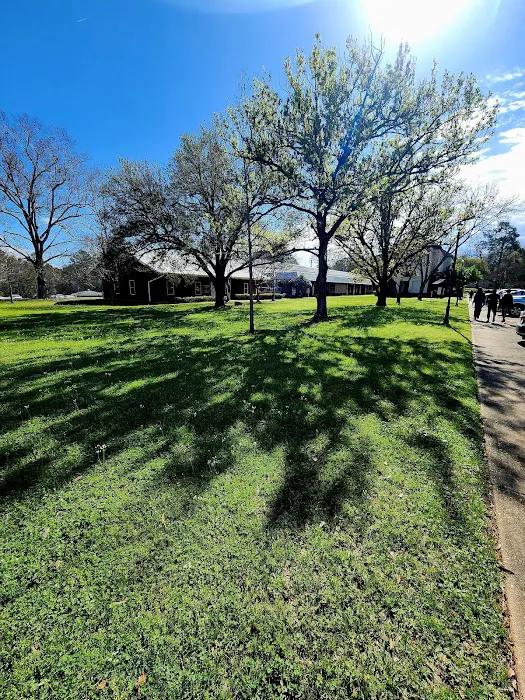 Brad's Old Ferry Landing Campground & RV Park Picture 3