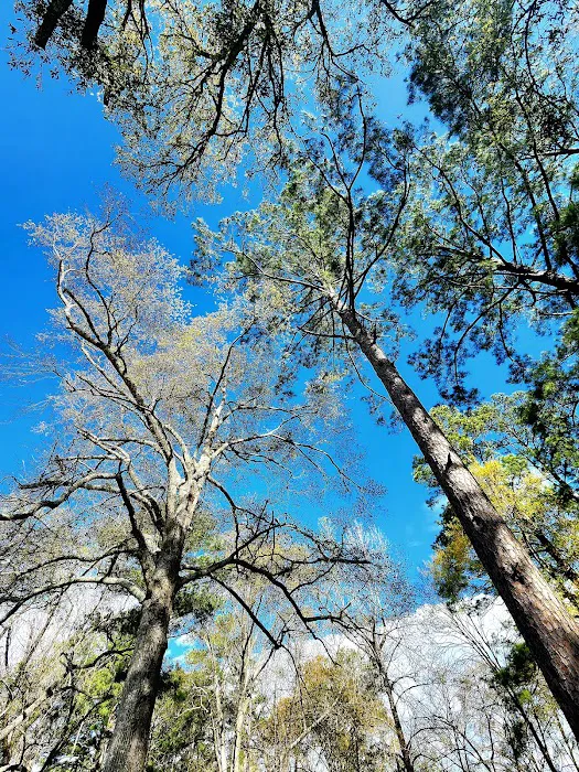 Brad's Old Ferry Landing Campground & RV Park Picture 7