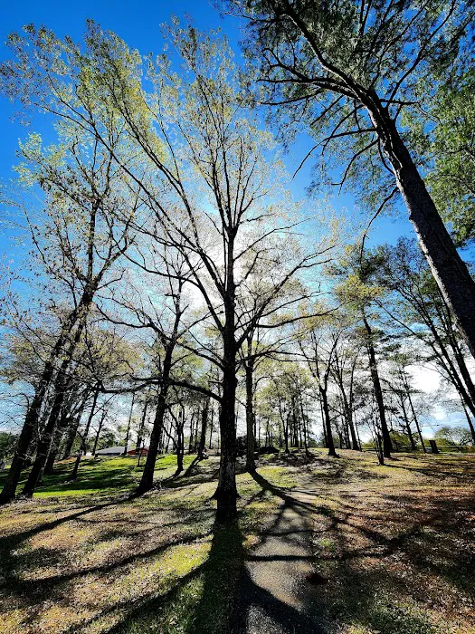 Brad's Old Ferry Landing Campground & RV Park Picture 10