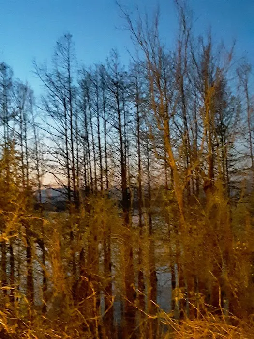 Turkey Creek Park Picture 5