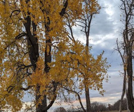Sheyenne National Grassland