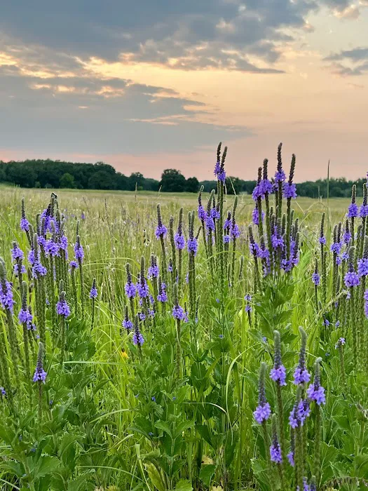 Sheyenne National Grassland Picture 5