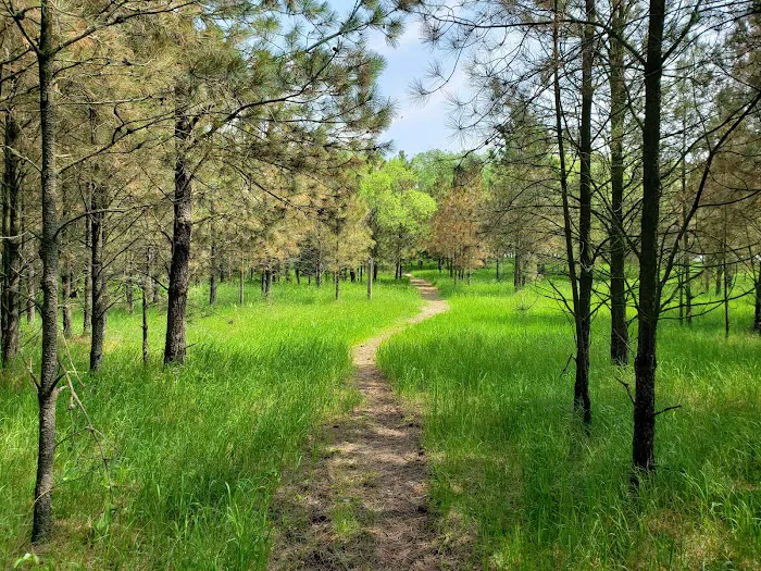 Sheyenne National Grassland Picture 8