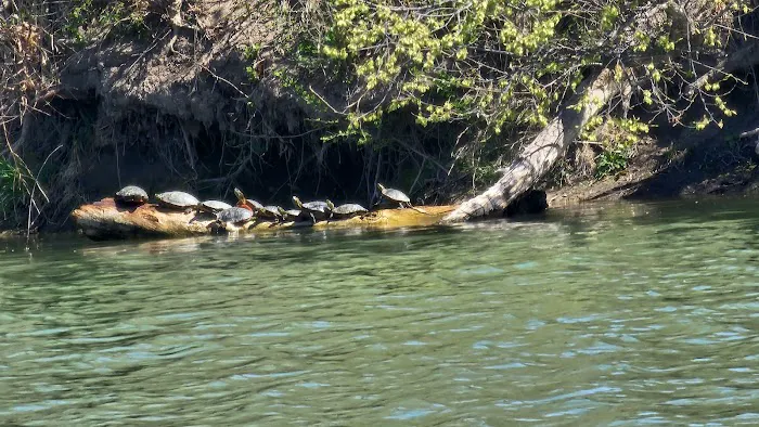 Crystal Lake Campground Picture 3