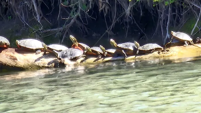 Crystal Lake Campground Picture 4