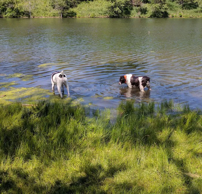 Crystal Lake Campground Picture 7