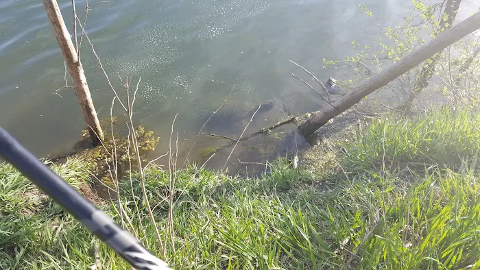 Crystal Lake Campground Picture 9